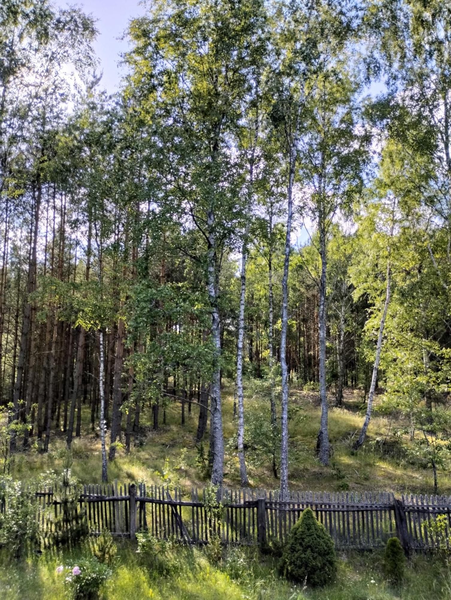 24mousehouse - Urokliwy W Sercu Borow Tucholskich Holiday home Czersk Pomorski
