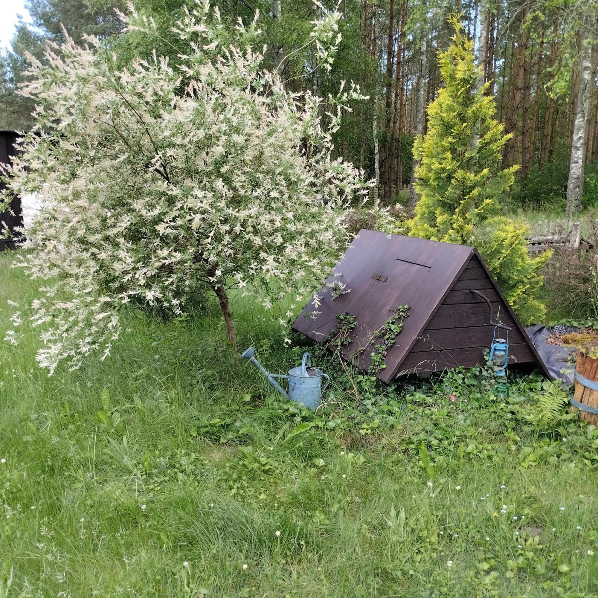 24mousehouse - Urokliwy W Sercu Borow Tucholskich Holiday home *