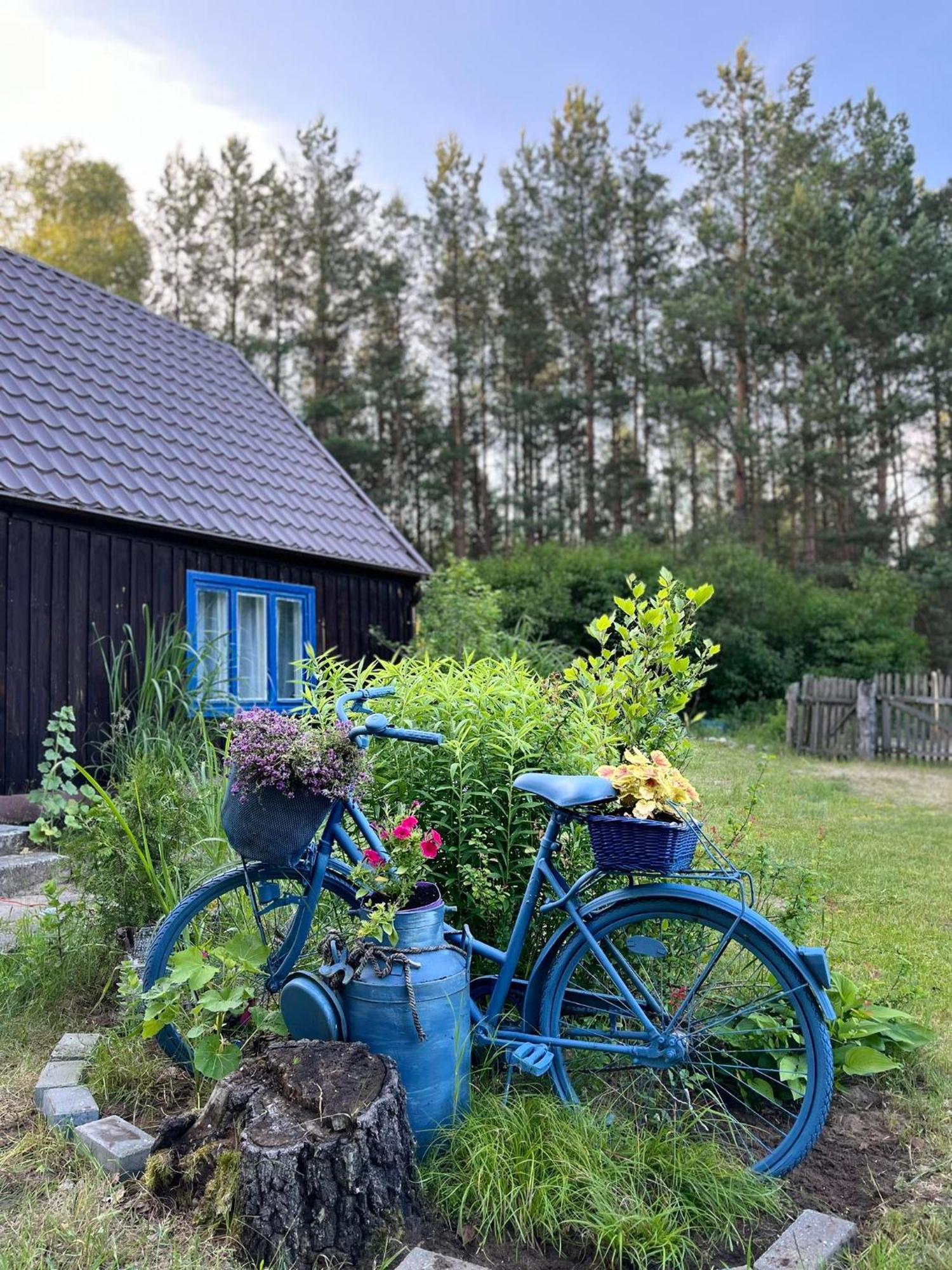 Holiday home 24mousehouse - Urokliwy W Sercu Borow Tucholskich *